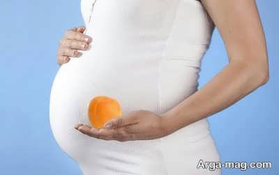 فواید زردآلو در بارداری