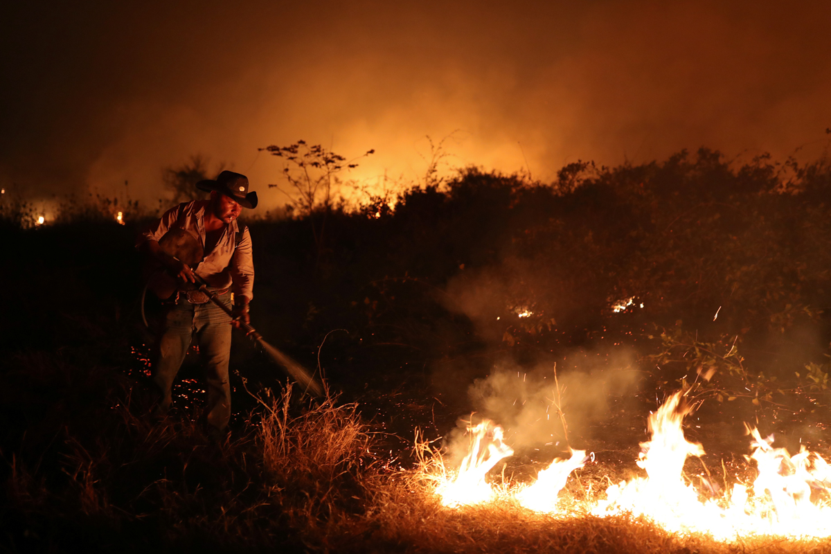 سوختن حیوانات در آتش سوزی بزرگترین تالاب جهان + عکس