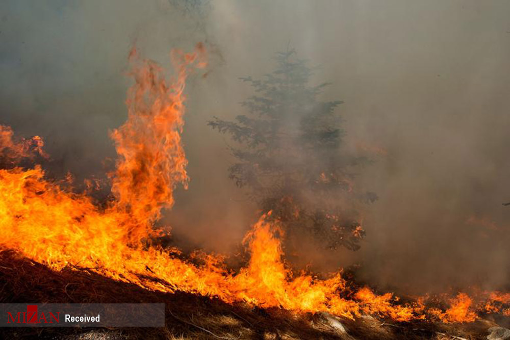 ادامه آتش سوزی ها در کالیفرنیا و اورگان + عکس