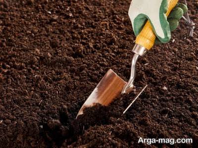 استفاده از خاک غنی برای بستر گیاه