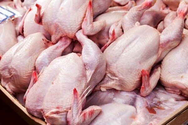 رفع بحران بازار مرغ با توزیع گسترده/ قیمت مرغ در ماه رمضان متعادل می‌شود
