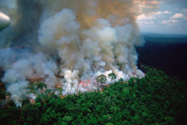 جنگل‌های آمازون در یک دهه اخیر بیش از جذب دی‌اکسید کربن، آن را منتشر کرده‌اند