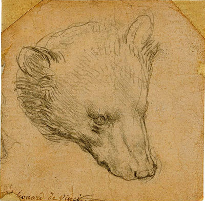 «سر خرس» داوینچی در لندن چوب حراج می‌خورد؛ ۱۱ تا ۱۷ میلیون دلار
