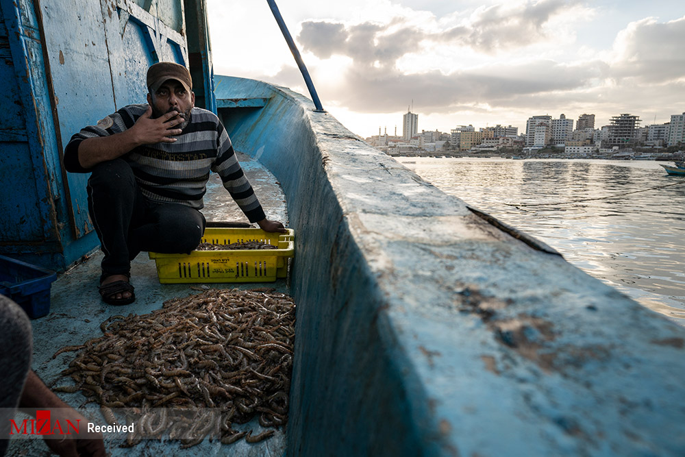 بازگشت ماهیگیران غزه به دریا + عکس