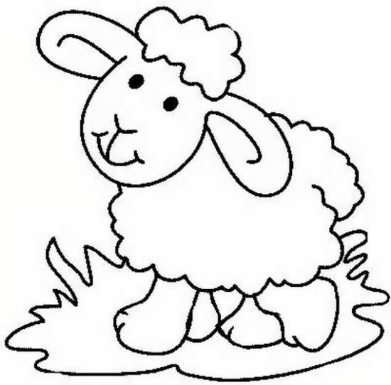 نقاشی های گوسفند 