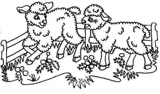 نقاشی گوسفندان بازیگوش 