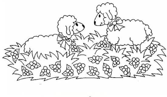 نقاشی های زیبا گوسفند در مزرعه 