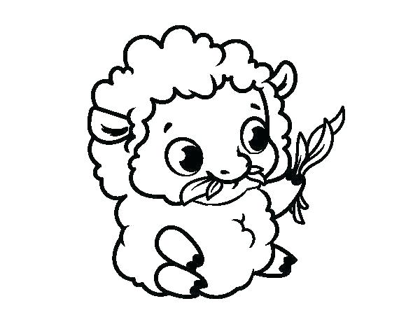 نقاشی گوسفند برای کودکان