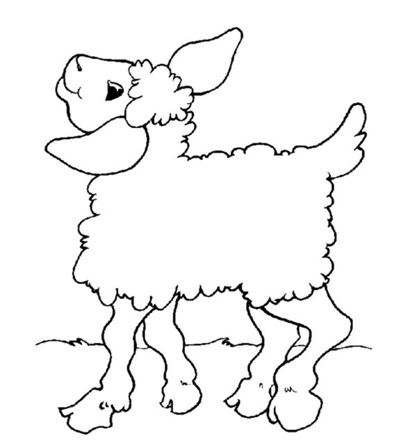 نقاشی گوسفند شیطون برای کودکان