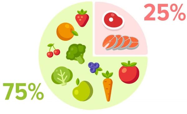 مصرف سبزیجات در رژیم غذایی پگان
