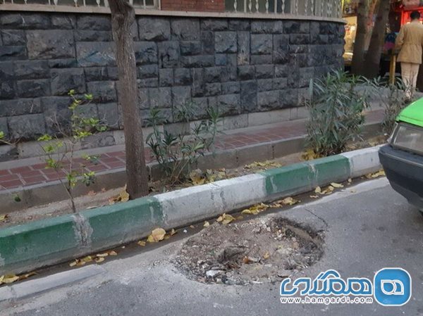 تیر برق هایی با نشان شیر و خورشید در تهران 2