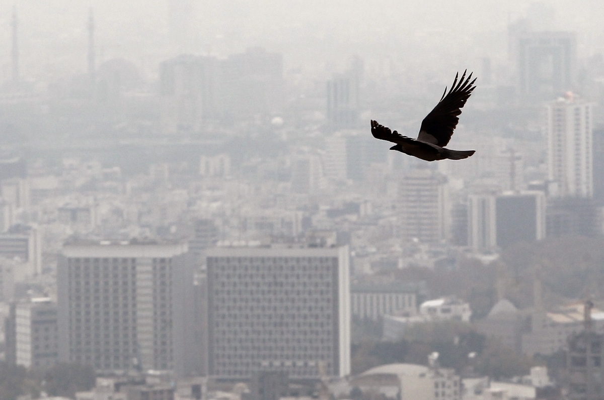 تاثیرات مخرب آلودگی هوا بر سلامت