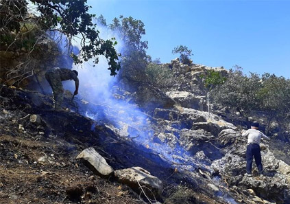 مهار شدن آتش سوزی جنگلهای گچساران پس از ۳ روز