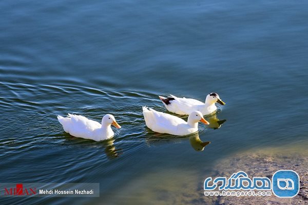 دریاچه شورابیل اردبیل + عکسها