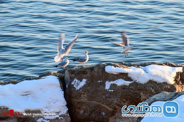 دریاچه شورابیل اردبیل + عکسها