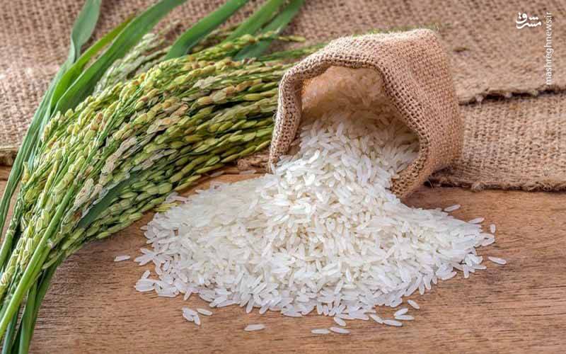 با چند ساعت خیساندن برنج سم آن از بین می رود؟