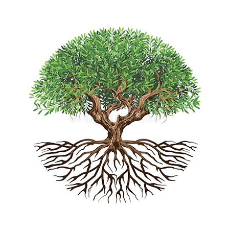  درخت زندگی در ایران باستان, درخت زندگی در آینده, کتاب درخت زندگی