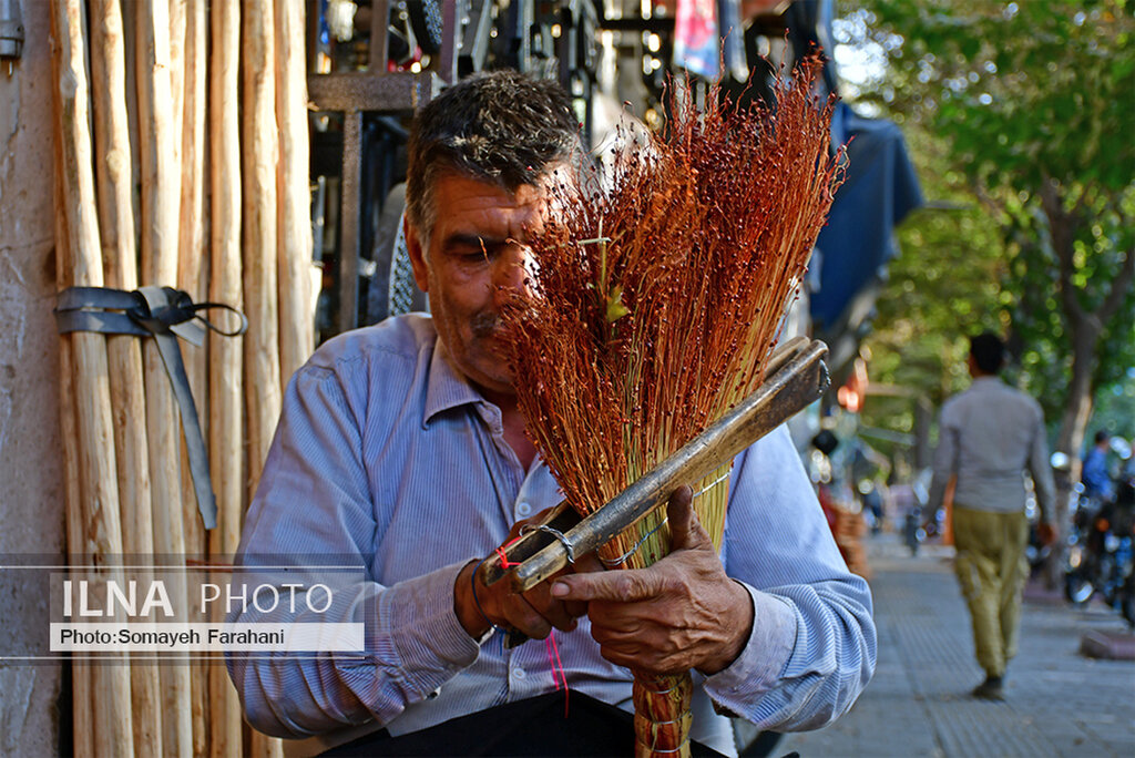 تصاویر یک شغل فراموش شده در تهران