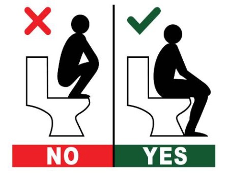 شیوه استفاده از توالت فرنگی,استفاده از توالت فرنگی,آموزش طریقه درست نشستن روی توالت فرنگی