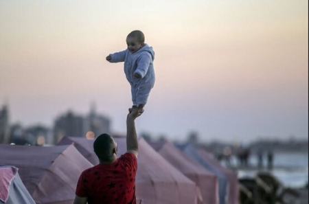 عکسهای جالب,عکسهای جذاب, غزه   