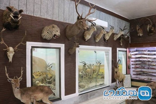خراسان رضوی دارای 12 موزه تاریخ طبیعی است