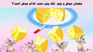 معمای موش و پنیر: تکه پنیر دست کدام موش است؟