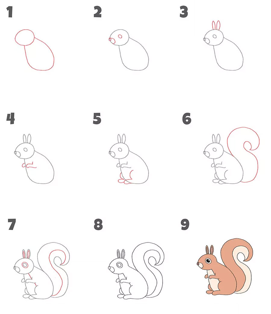 مراحل کشیدن نقاشی سنجاب