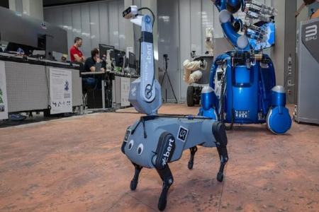 سگ رباتیک،اخبار علمی،خبرهای علمی