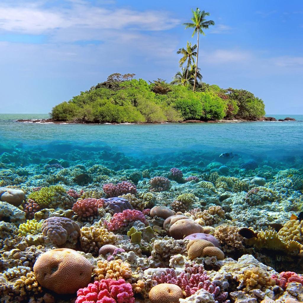 جزیره‌ مرجانی پاتایا ( Coral Island Pattaya )