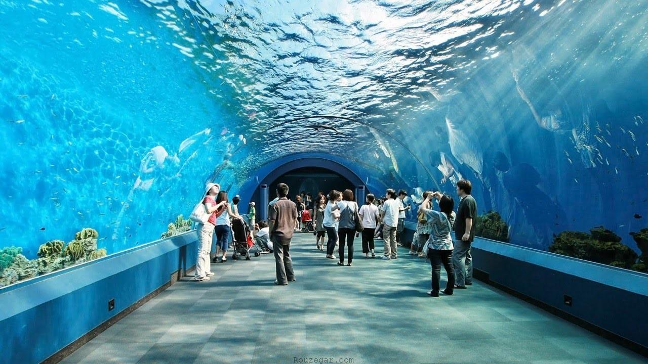 دنیای زیر آب پاتایا ( Pattaya Underwater World)