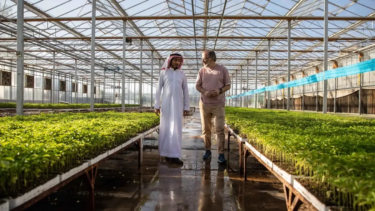 عربستان با ایجاد آب‌وهوای مصنوعی شرایط ایده‌آل برای کشاورزی در بیابان را فراهم می‌کند!